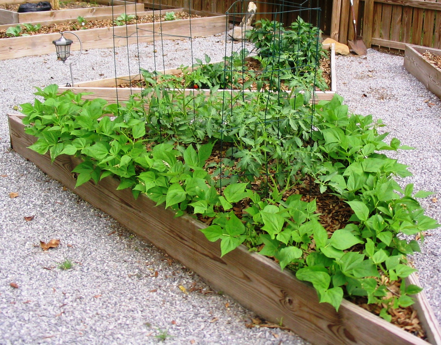 It's time for planting spring vegetables